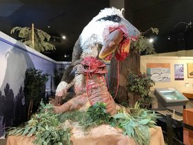 Dinosaur-Journey-Museum