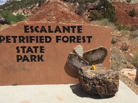 Escalante-Petrified-Forest